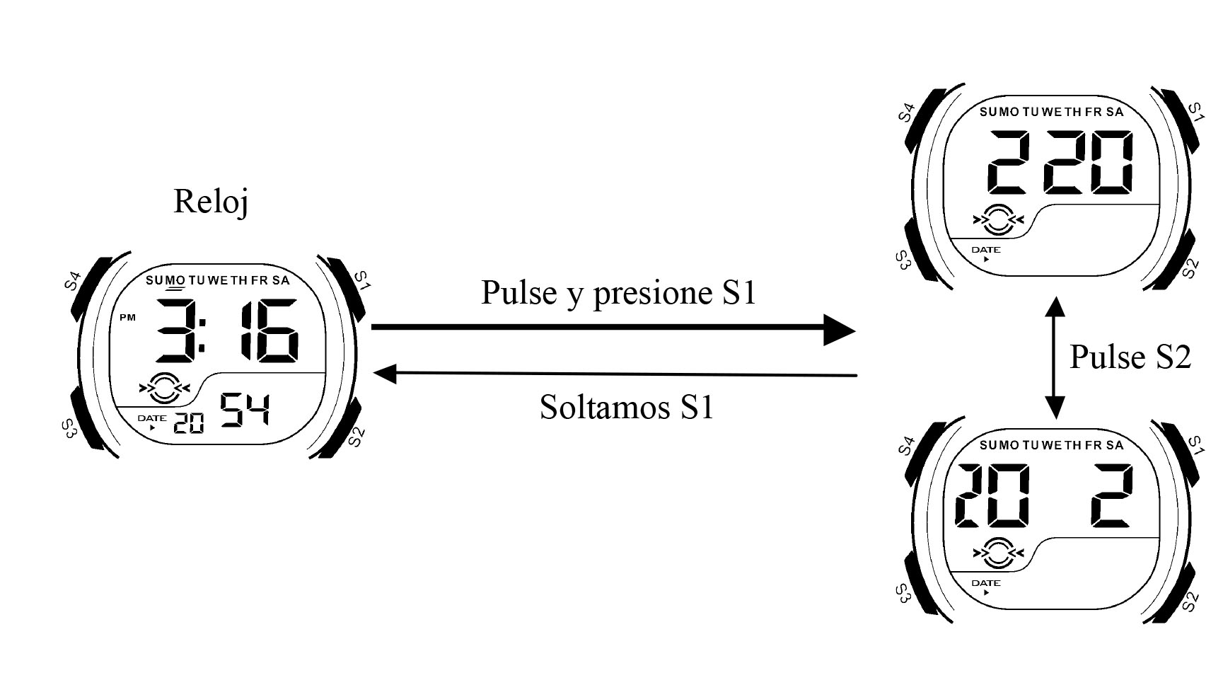 Auto Calibración